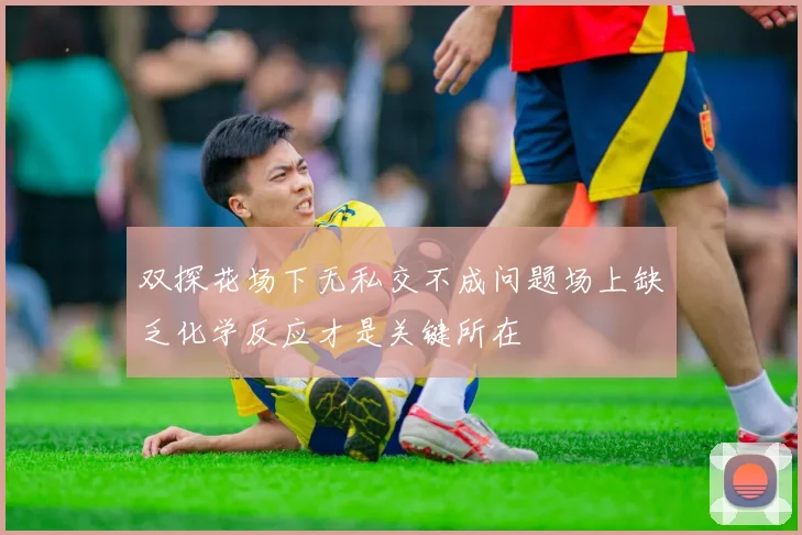 双探花场下无私交不成问题场上缺乏化学反应才是关键所在