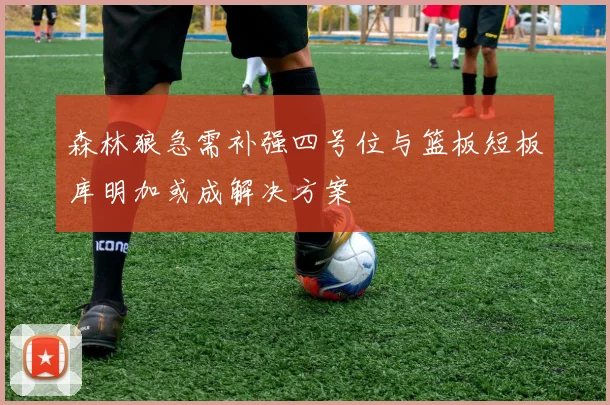森林狼急需补强四号位与篮板短板库明加或成解决方案